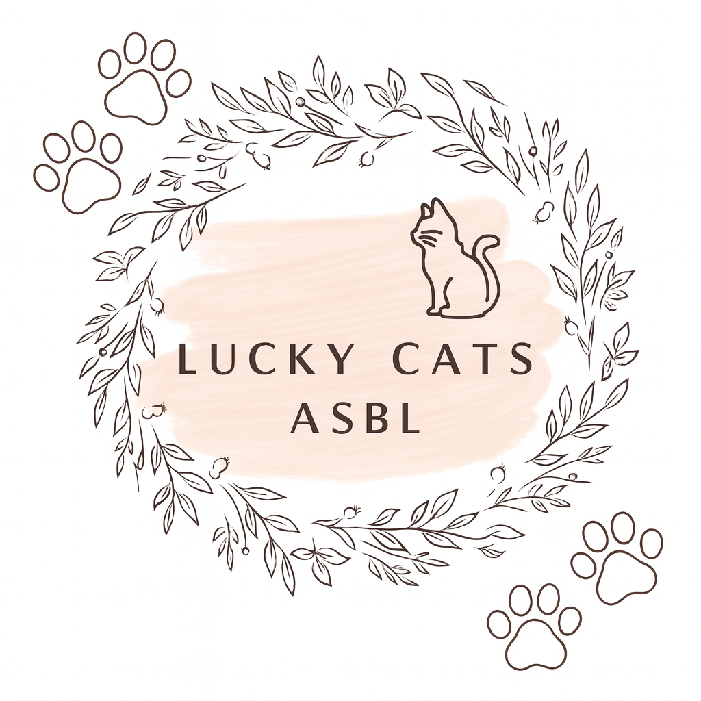 Lucky Cats.